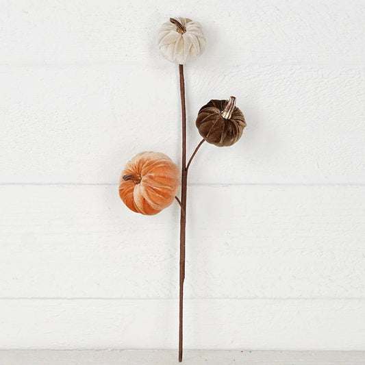 31350-15-inch Pick with mixed Velvet gold stem pumpkins