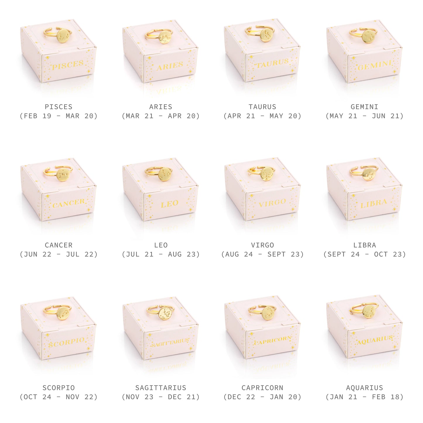 Zodiac Signet Ring ADJUSTABLE BUNDLE - 48 pc + display
